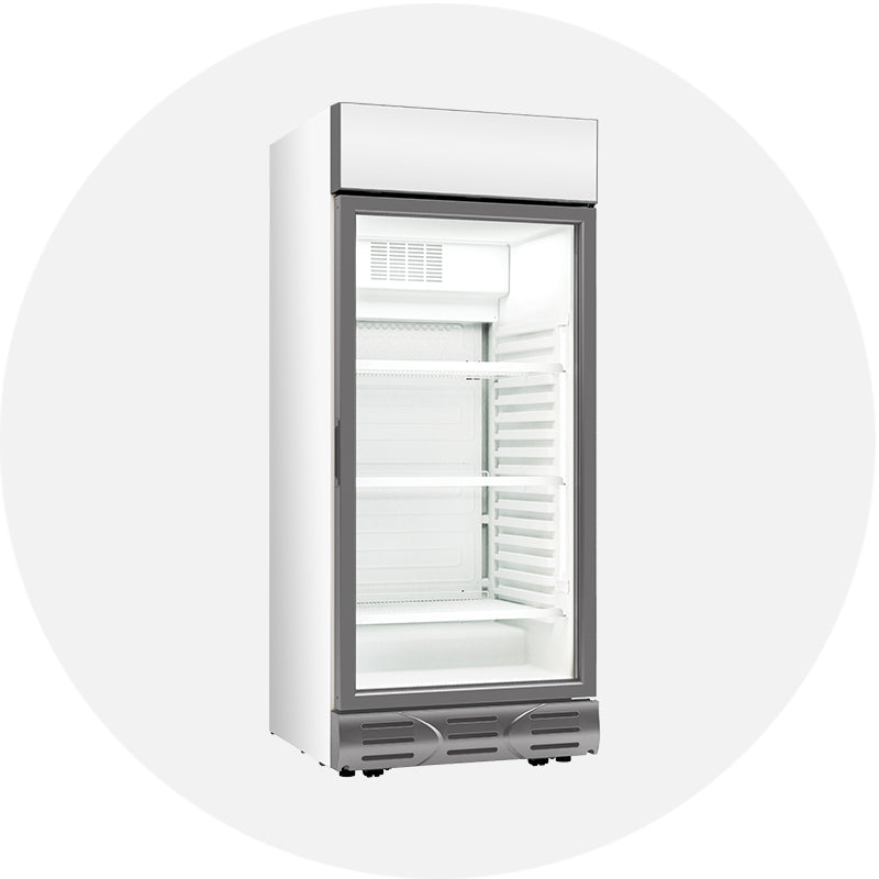 Vitrine Frigorifice Compacte pentru Băuturi – Modelele S240 & S240 WOC M1